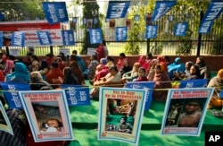 FILE - Activists of the National Federation of Indian Women sit near posters demanding that the pesticide endosulfan be banned at a protest in New Delhi, India, Dec. 10, 2010.