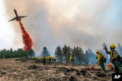 Petugas pemadam kebakaran Wildland menonton dan merekam video dengan ponsel mereka saat pesawat pemadam kebakaran menjatuhkan bahan untuk menjinakkan api di Harlow Ridge di atas Lick Creek Fire, barat daya Asotin, Washington, Senin, 12 Juli 2021. (AP)