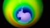 Earth's Ozone Layer Shows Signs of Recovery