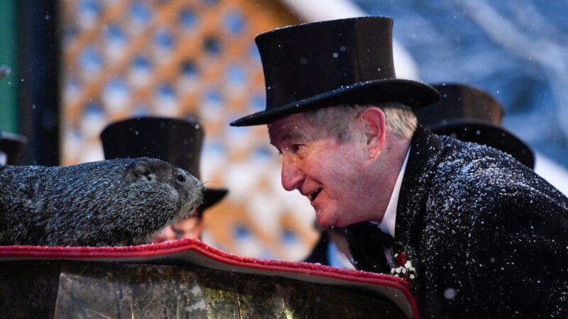 Famous American Groundhog Makes Yearly Winter Prediction
