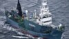 Australia Opposes Resumption of Japan Whaling 