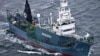 Japan to Restart Commercial Whale Hunts in 2019