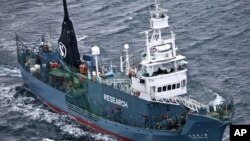 FILE - Japanese whaling ship Yushin Maru No. 2 sails in the Southern Ocean off Antarctica.