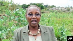 Kenyan agricultural researcher, Prof. Nancy Karanja, is urging African government to move fast to fund the continent’s city farmers