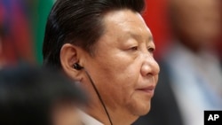 中国国家主席习近平 （资料照片）
