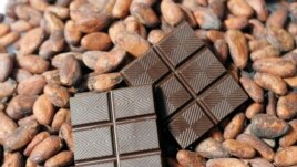 FILE - Finished dark chocolate is shown atop cacao beans at the new TCHO chocolate factory in San Francisco, Calif., Monday, Aug. 25, 2008.(AP Photo/Eric Risberg)