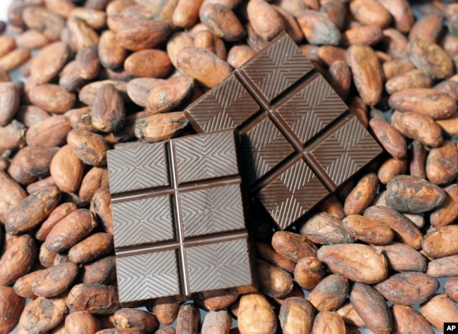 FILE - Finished dark chocolate is shown atop cacao beans at the new TCHO chocolate factory in San Francisco, Calif., Monday, Aug. 25, 2008.(AP Photo/Eric Risberg)