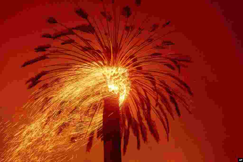 Embers fly from a tree as the Glass Fire burns in St. Helena, California, Sept. 27, 2020.