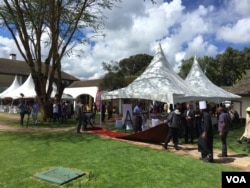 The future of Africa's elephants and their habitats is the focus of a three-day high-level summit at Mount Kenya Safari Club in Nanyuki, Kenya, April 29, 2016. (J. Craig/VOA)