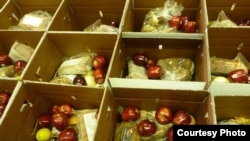 Food boxes, prepared by the Pine Ridge nonprofit organization One Spirit, to be distributed to Oglala Lakota tribal families in need. Courtesy: One Spirit.