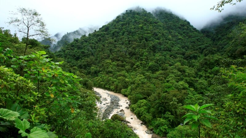 Costa Rica Could Permanently Ban Fossil Fuel Exploration
