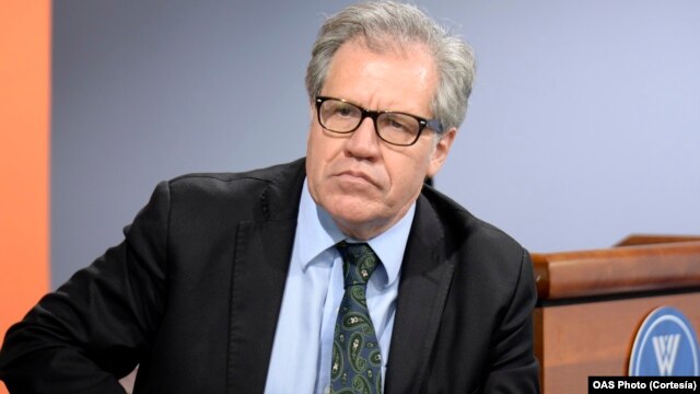 El periódico capitalino destaca el papel que ha jugado el secretario general de la OEA, Luis Almagro, en las crisis recientes en el Hemisferio Occidental.