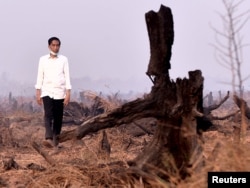 Presiden Joko Widodo saat mengunjungi lahan yang terbakar dalam kebakaran hutan di Banjarbaru, Kalimantan Selatan, 23 September 2015. (Foto: Antara via Reuters)