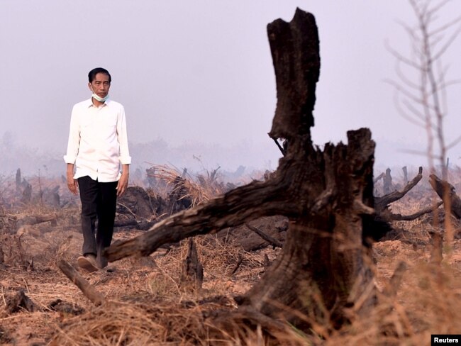 Presiden Joko Widodo saat mengunjungi lahan yang terbakar dalam kebakaran hutan di Banjarbaru, Kalimantan Selatan, 23 September 2015. (Foto: Antara via Reuters)