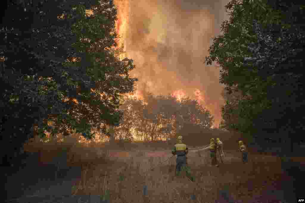 Firefighters puts out a wildfire in Lucenza, in Cualedro, near Ourense, Spain.