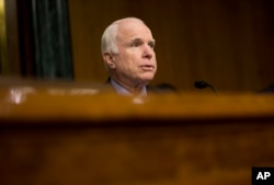 FILE - Sen. John McCain on Capitol Hill in Washington.