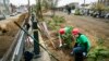 ‘Green Spaces’ May Help Reduce Crime, Depression in Poor Areas
