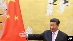 Presidente Chinês Xi Jinping 