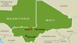 Fransi ka lagnini koka Farafina sardasu 5000 di Saheli Jamana Duru manka jihadi kele