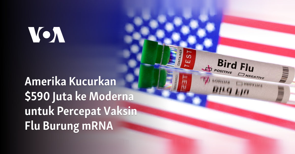 Amerika Kucurkan 0 Juta ke Moderna untuk Percepat Vaksin Flu Burung mRNA