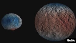 NASA's Dawn spacecraft determined the hydrogen content of the upper yard, or meter, of Ceres' surface. Blue indicates where hydrogen content is higher, near the poles, while red indicates lower content at lower latitudes. (NASA/JPL-Caltech/UCLA/MPS/DLR/IDA/PSI)