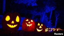 Pumpkin Jack O' Lanterns sit on the grounds of the historic Van Cortlandt Manor House and Museum during the "Great Jack O' Lantern Blaze" in Croton-on Hudson, New York, Oct. 27, 2015.