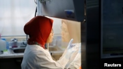 Seorang petugas lab mempersiapkan medium untuk menumbuhkan virus di Eijkman Institute, Jakarta, 31 Agustus 2016. (Foto: ilustrasi)