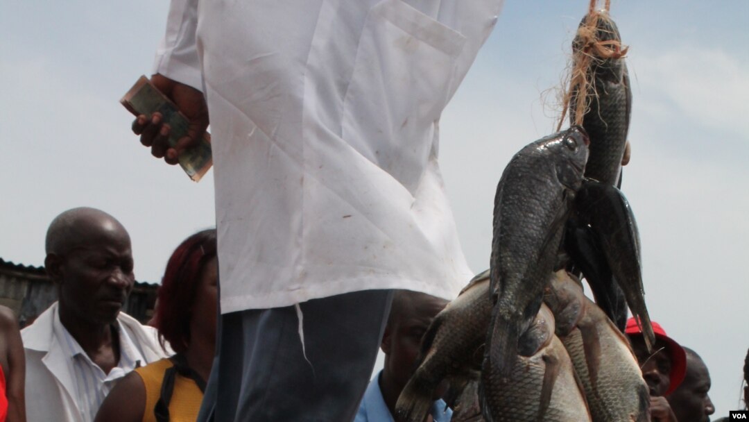 水产拍卖市场的渔民说,由于鱼类资源的消耗,在维多利亚湖打渔为生越来越困难了。