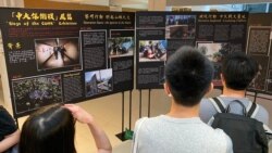 香港中文大學學生會臨時行政會秘書馬活言表示，學生會去年11月在校園內舉辦中大保衞戰一周年紀念活動，有受到校方一定壓力。