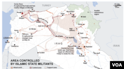 “伊斯蘭國”截至2015年五月控制的地區(資料圖片)