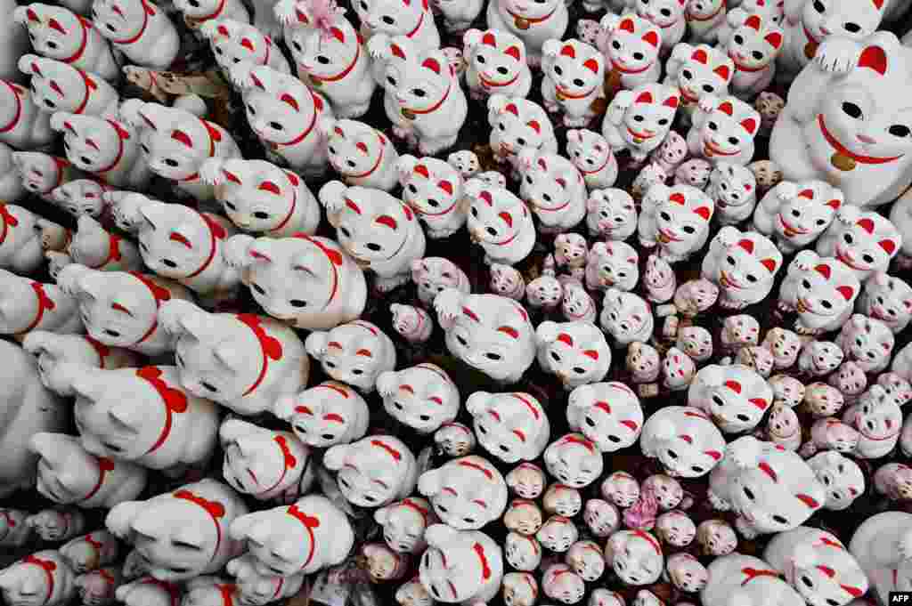 Statuettes of cats, called "maneki neko" in Japanese (beckoning cat), are pictured at Gotokuji Temple in Setagaya Ward in Tokyo.