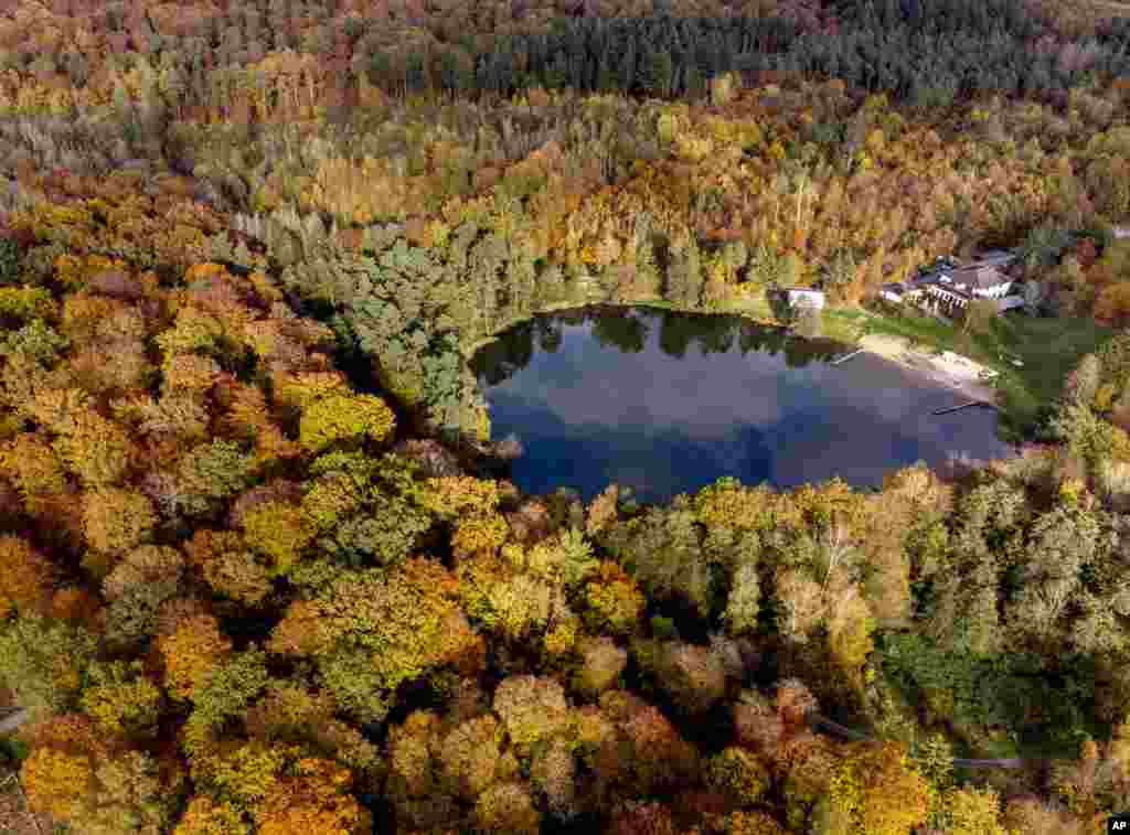 Colorful trees surround the small Hattstein lake in Usingen in the Taunus region near Frankfurt, Germany.