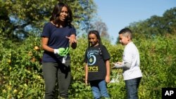 FILE - First lady Michelle Obama, joined by school children from Washington area, jokes that she needs to put on gloves to protect her manicure during a harvest of the White House Kitchen Garden, at the White House in Washington. 