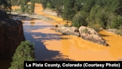Mustard-colored wastewater laced with heavy metals is seen in the Animas River in La Plata County, Colorado. 