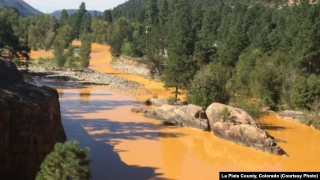 Aguas color amarillo mostaza en el rio Ánimas en el Condado La Plata de Colorado.