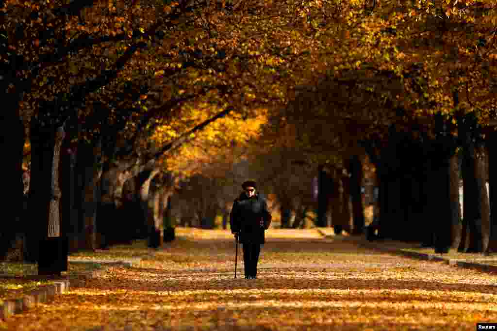 A woman walks under the trees with fall colored leaves in Moscow, Russia.