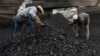 روس: وزن گھٹانے پر کوئلہ انعام میں 