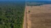 Brazil's Amazon Deforestation Surges to Worst in 15 Years