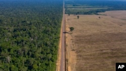 FILE - In this Nov. 25, 2019, photo, highway BR-163 stretches between the Tapajos National Forest, left, and a soy field in Belterra, Para state, Brazil. 