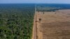 Jalan raya membentang di antara Hutan Nasional Tapajos, kiri, dan ladang kedelai di Belterra, negara bagian Para, Brazil. (Foto: AP)