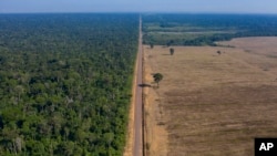 FILE - In this Nov. 25, 2019, photo, highway BR-163 stretches between the Tapajos National Forest, left, and a soy field in Belterra, Para state, Brazil.