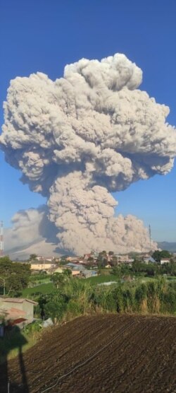 Gunung Sinabung di Kabupaten Karo, Sumatera Utara, saat erupsi, mengeluarkan awan panas guguran, Selasa 2 Maret 2021. (Foto: Pos Pemantau Gunung Api Sinabung)