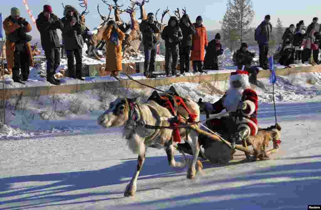 A contestant wearing a Santa Claus costume rides in a sledge pulled by a reindeer during a race on snow-covered tracks at the opening ceremony of a local winter festival in Genhe of Hulun Buir, north China&#39;s Inner Mongolia Autonomous Region, Dec. 24, 2014.