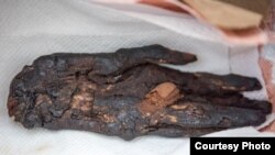 Ancient mummified hand recovered during ICE HSI's Operation Mummy's Hand. (Courtesy: U.S. Immigration and Customs Enforcement)