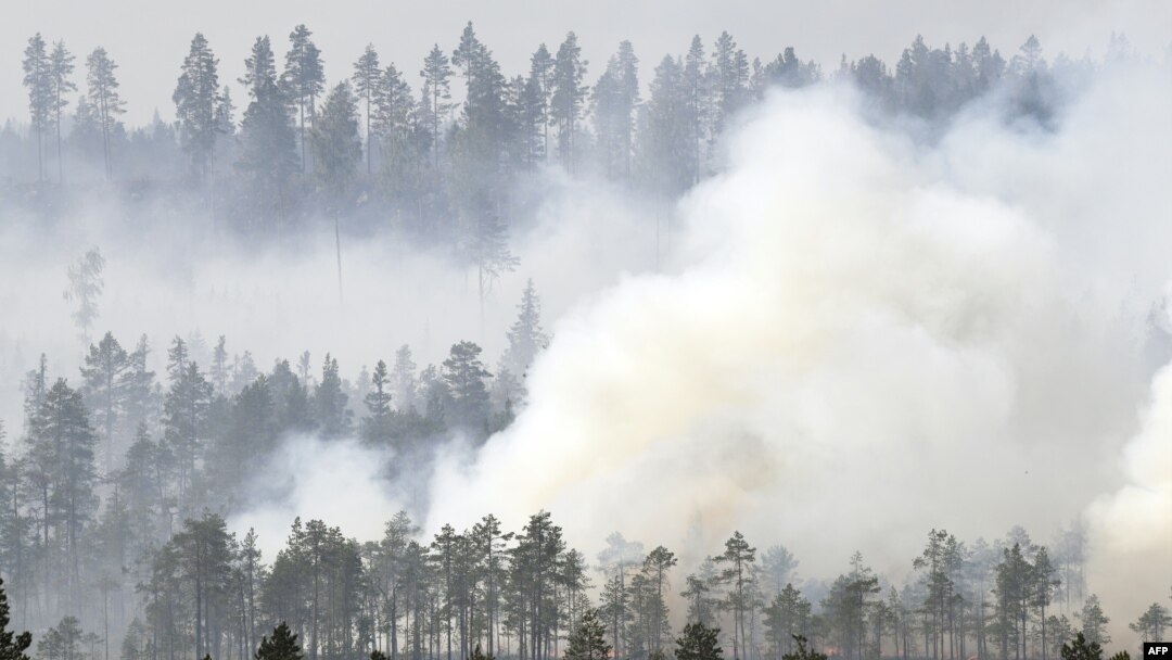 Kebakaran hutan melanda kota Korskrogen, Swedia (25/7).