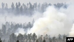 Kebakaran hutan melanda kota Korskrogen, Swedia (25/7).