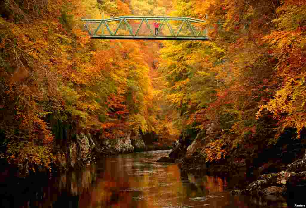 가을이 찾아온 영국 스코틀랜드 개리강 다리 위에 여성이 서 있다.
