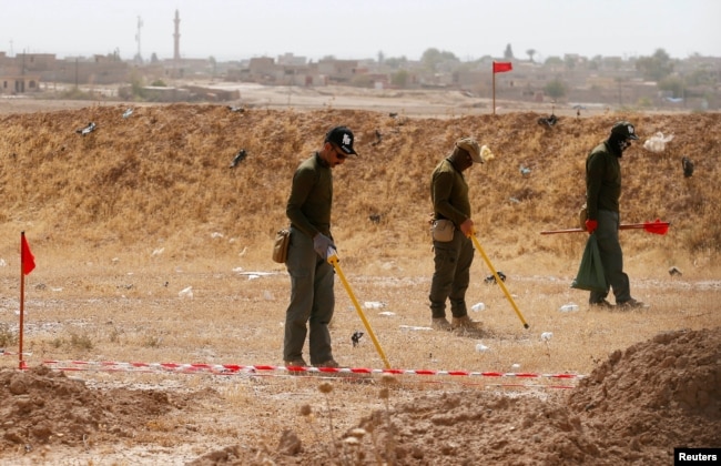 Para penjinak bahan peledak berusaha menyisir dan membersihkan ranjau darat yang ditanam oleh kelompok militan ISIS di Hammam al-Alil, selatan Mosul, Irak (foto: ilustrasi).