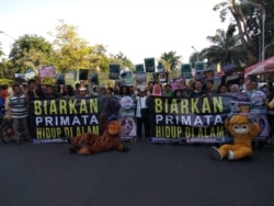 Aksi Profauna Indonesia di Surabaya, memperingati Hari Primata, menolak perburuan satwa liar di alam (Foto: Profauna Indonesia).