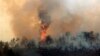 Kebakaran di Colorado Meluas, 1.000 Hektar Hutan Musnah